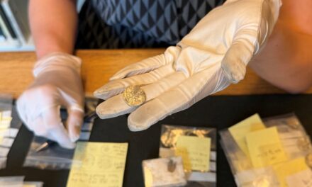 Revelan cuántas monedas contiene hasta el momento el mayor tesoro numismático de la época vikinga hallado en Noruega