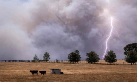 Advierten por el impacto de El Niño en América Latina en medio de la crisis de Ormuz