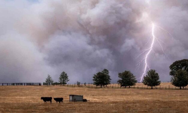 Advierten por el impacto de El Niño en América Latina en medio de la crisis de Ormuz