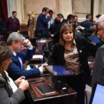 qué pasó y cómo reaccionaron en el Senado