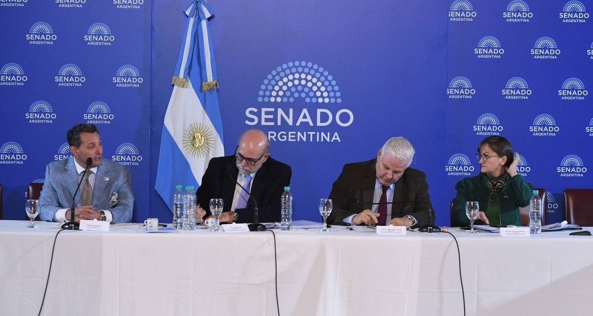 El Senado espera volver a sesionar tras la salida de Manuel Adorni y llaman a Labor para el 8 de julio