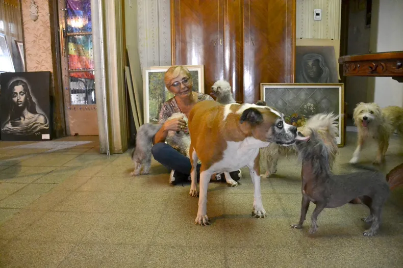 Proteccionistas tras el hallazgo de perros muertos en Médano de Oro: “Siempre con los animales estamos a la deriva