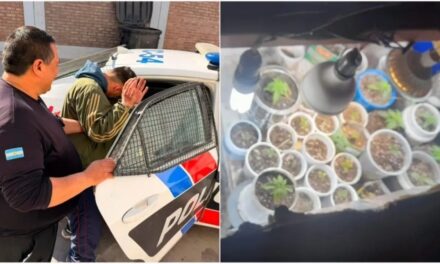 Lo detuvieron tras un episodio de violencia y encontraron 56 plantines de marihuana