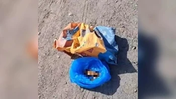 Dejaron una bolsa con restos de un perro frente a la casa de una mujer que cuida más de 30 animales