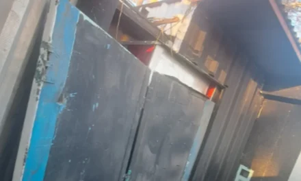 Entraron por el techo y destrozaron un kiosco en la Plaza de Desamparados
