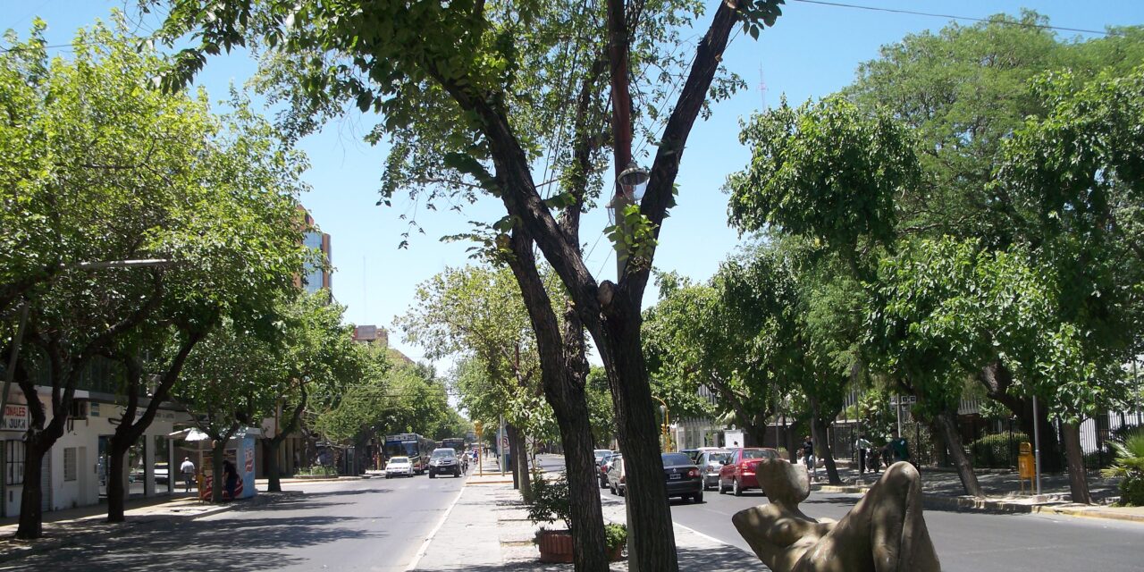 Atención conductores: Habrá un corte en avenida Libertador por obras