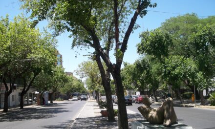Atención conductores: Habrá un corte en avenida Libertador por obras