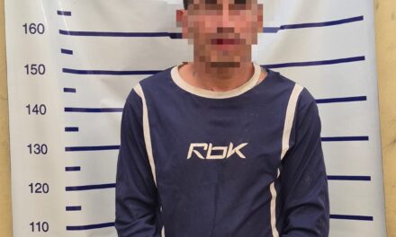 Entraron a una tienda del centro, robaron prendas y terminaron detenidos tras amenazar a la comerciante