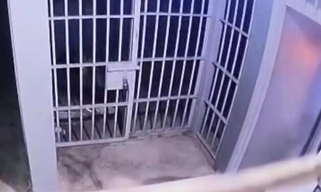 Cámaras, golpes y una fractura: las imágenes que complican a cinco policías de la comisaría 31