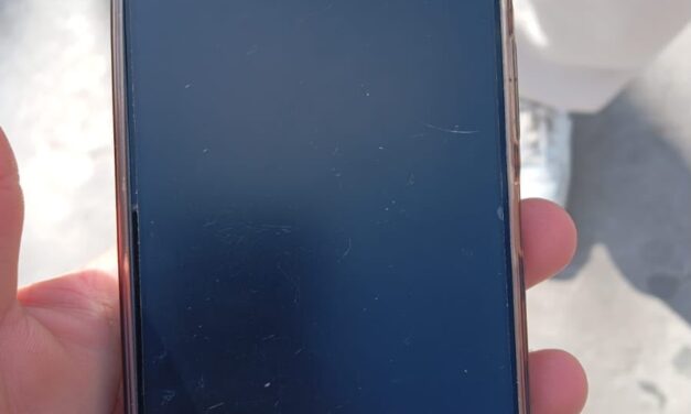 Le robaron el celular en un baño y lo encontraron tirado en un contenedor de basura