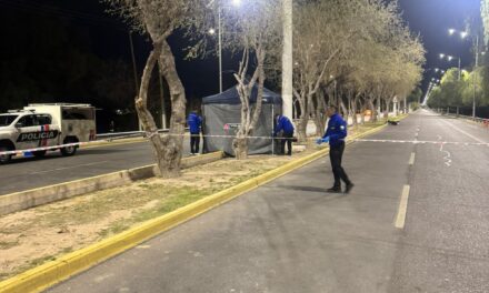 Urgente: Murió un joven de 25 años tras caer de su moto en Rivadavia