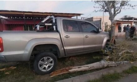 Choque en Rawson: una mujer de 69 años quedó grave tras impactar contra un árbol