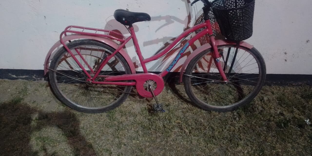 Robaron una moto en Pocito y detuvieron a una joven con el rodado