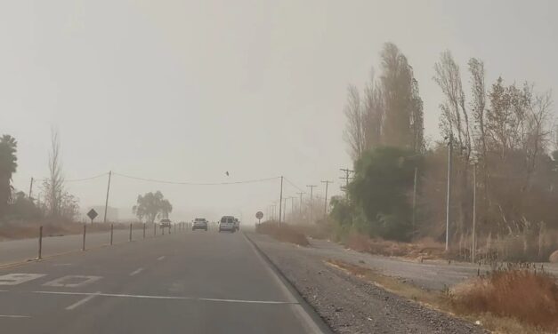 Alerta amarilla por fuertes vientos en la cordillera y advierten sobre el riesgo de incendios