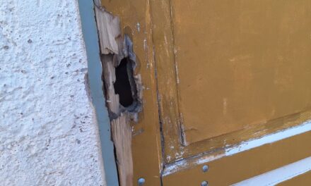 Entró a robar a la casa de su vecino en Chimbas y quedó detenido por las cámaras de seguridad