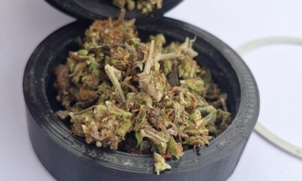 Treparon un portón para entrar a una casa y terminaron detenidos con marihuana