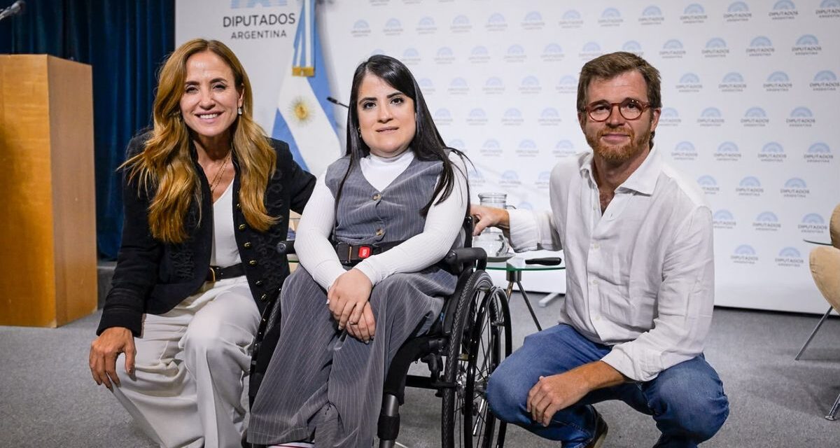 Proponen que familias de tránsito puedan adoptar tras un año de cuidado