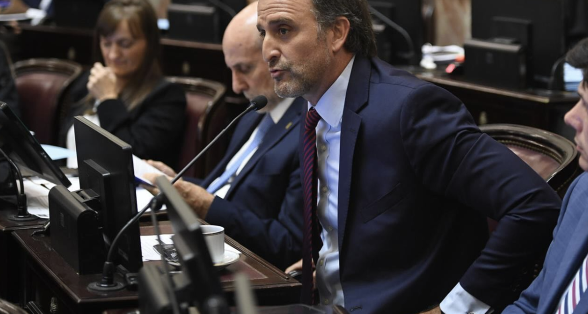 El senador Joaquín Benegas Lynch encabeza empresa que asesora a extranjeros en la compra de tierras en Argentina