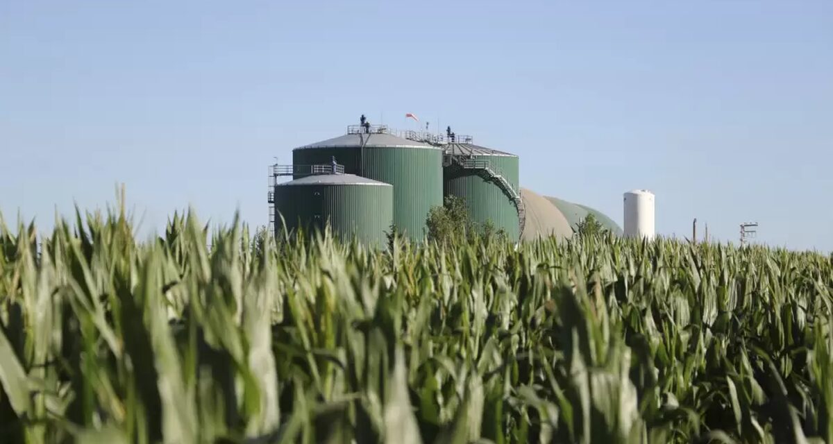 Las cámaras aceiteras y del biodiésel ratificaron su apoyo al proyecto de Ley de Biocombustibles del Gobierno