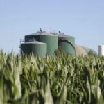 Las cámaras aceiteras y del biodiésel ratificaron su apoyo al proyecto de Ley de Biocombustibles del Gobierno
