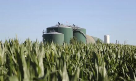 Las cámaras aceiteras y del biodiésel ratificaron su apoyo al proyecto de Ley de Biocombustibles del Gobierno