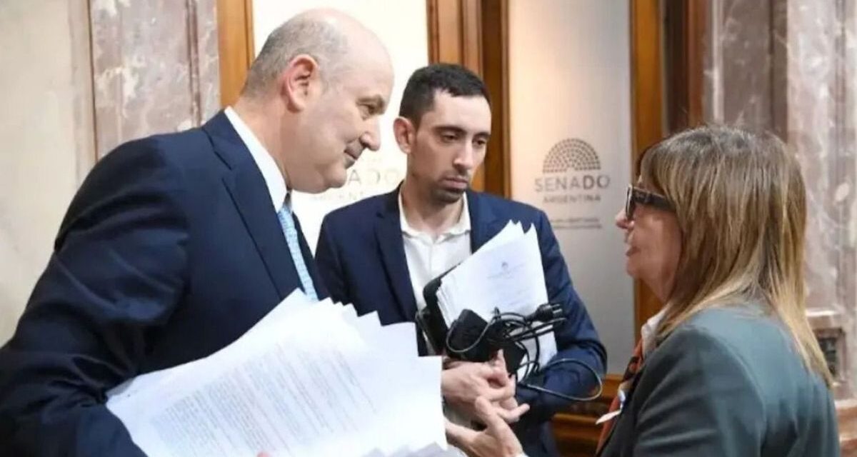 Las internas que dejó el Senado