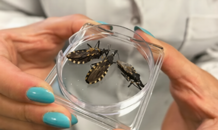 Salud amplía la atención del Chagas con un nuevo centro de diagnóstico y tratamiento
