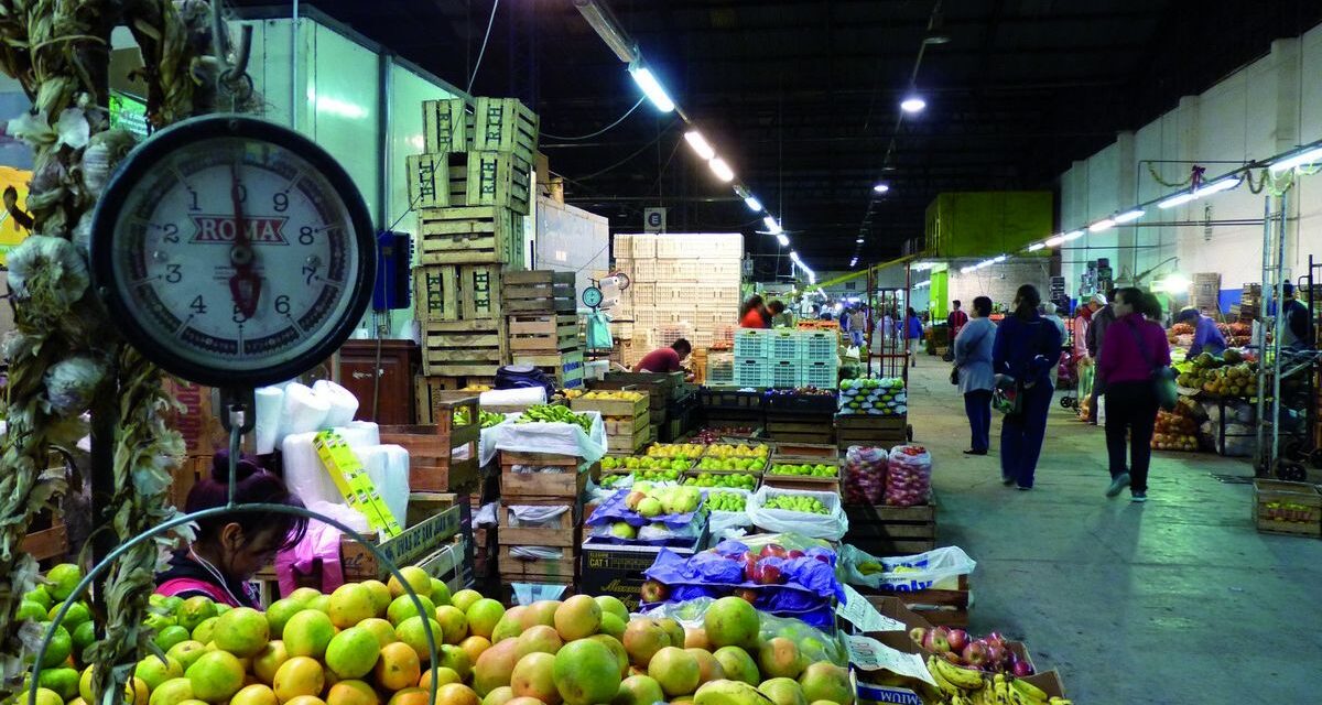 Frutas y verduras caen hasta un 50% en Salta, Rosario, Chaco y Mendoza