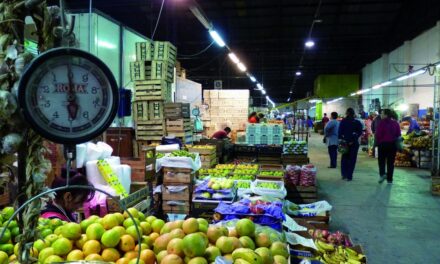 Frutas y verduras caen hasta un 50% en Salta, Rosario, Chaco y Mendoza