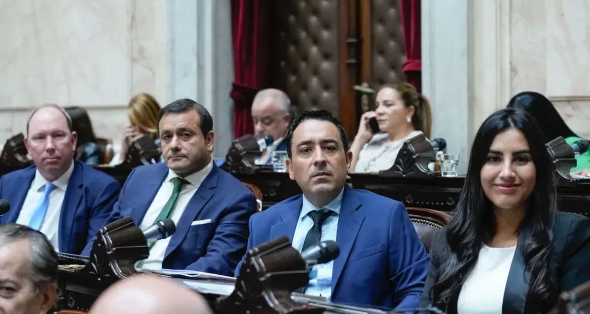 Innovación Federal se parte por la interna misionera, que llega hasta el Senado