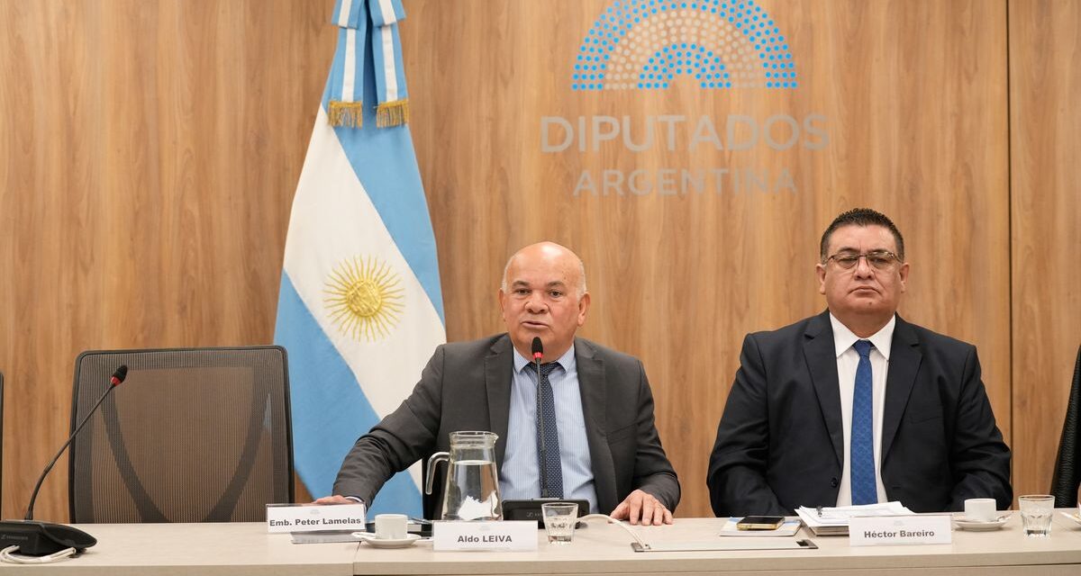 Peter Lamelas faltó a la comisión de Diputados, que lo había citado por el caso CALF
