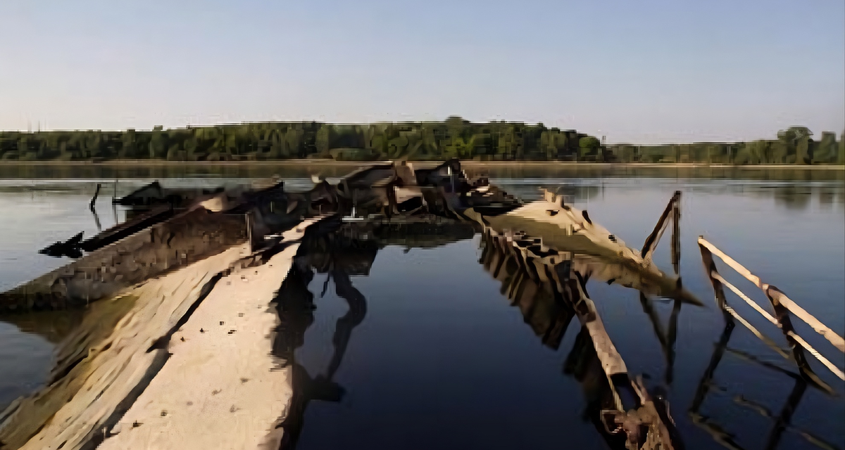 La sequía en el río Danubio dejó al descubierto barcos nazis y restos de un mamut