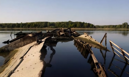 La sequía en el río Danubio dejó al descubierto barcos nazis y restos de un mamut