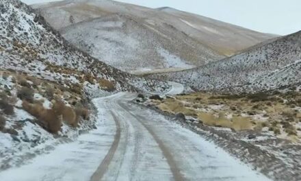 Alerta por viento y nieve: esperan ráfagas superiores a 120 km/h en la cordillera