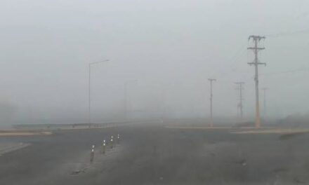 Precaución al volante: varias rutas tienen sectores con hielo y niebla