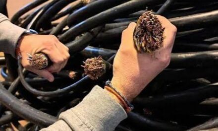 Intentaron robar cables de media tensión en una empresa de Chimbas y terminaron condenando a uno de ellos