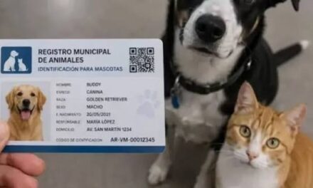 DNI para mascotas: Emilia Merino pidió que se priorice el uso de chips