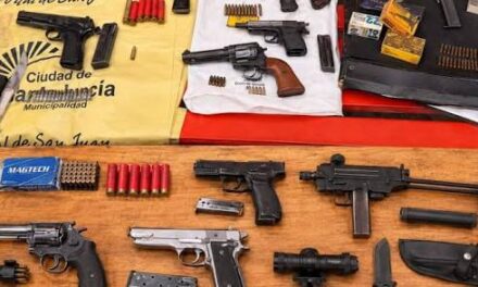 “Es elevado”: la contundente evaluación de la Policía tras secuestrar 85 armas en lo que va del año
