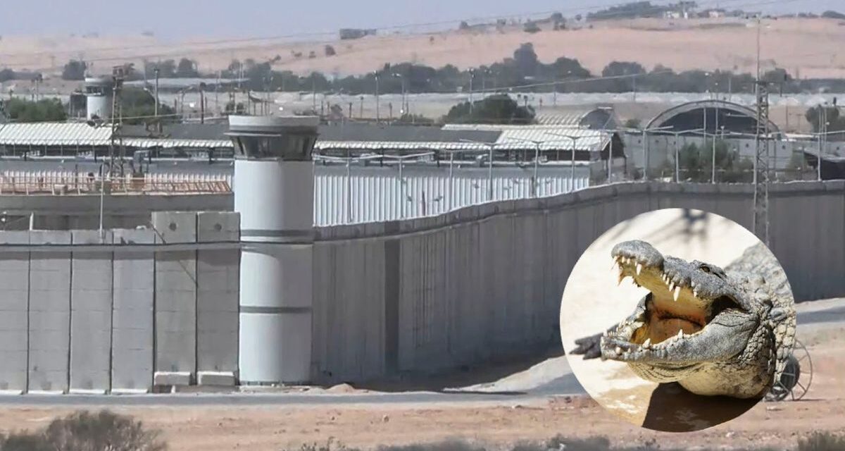 Frenan en Israel un proyecto para rodear con cocodrilos una cárcel de presos palestinos