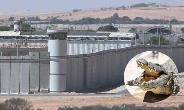 Frenan en Israel un proyecto para rodear con cocodrilos una cárcel de presos palestinos