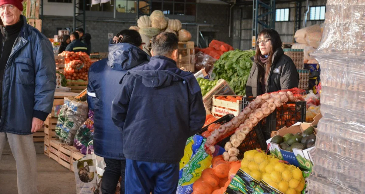 Pocito prepara la apertura de su nuevo Mercado Frutihortícola con más de 50 puestos