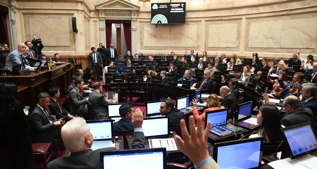 Uno a uno, cómo votó cada senador la ley de Inviolabilidad de la Propiedad Privada