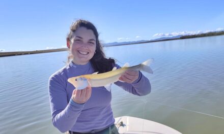 Septiembre llega con mucha pesca en todo el país