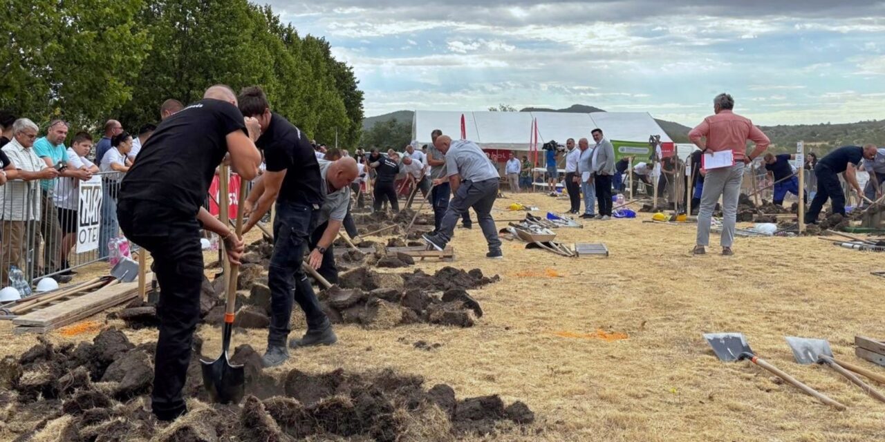 Concurso de velocidad de cavadores de tumbas