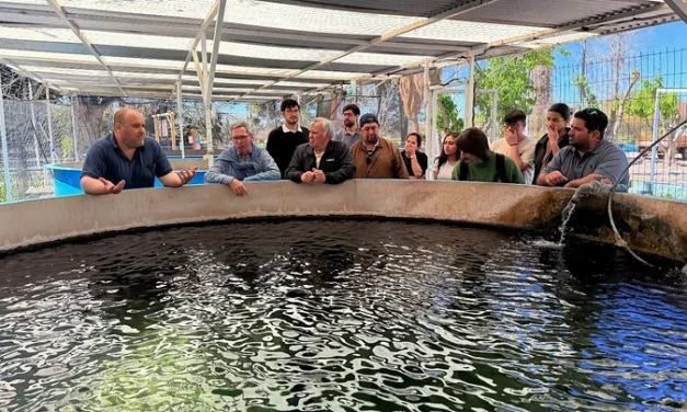 Estudios en Punta Negra, Caracoles y Ullum para conocer mejor sus ecosistemas acuáticos