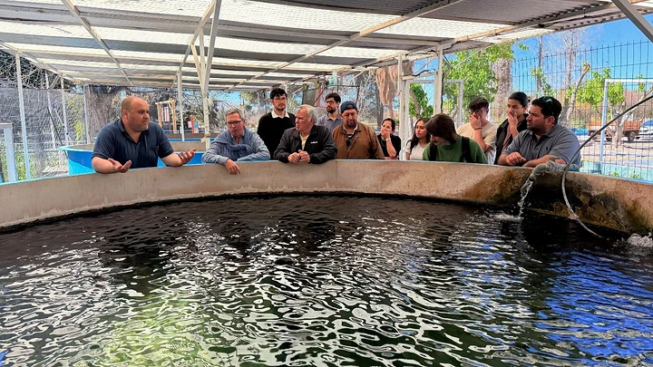Estudios en Punta Negra, Caracoles y Ullum para conocer mejor sus ecosistemas acuáticos