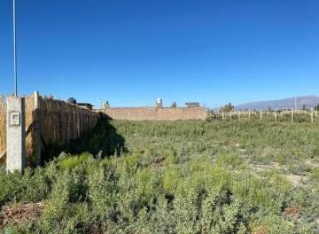 Compraron terrenos y llevan hasta siete años esperando: 214 familias reclaman contra un loteo en Rivadavia