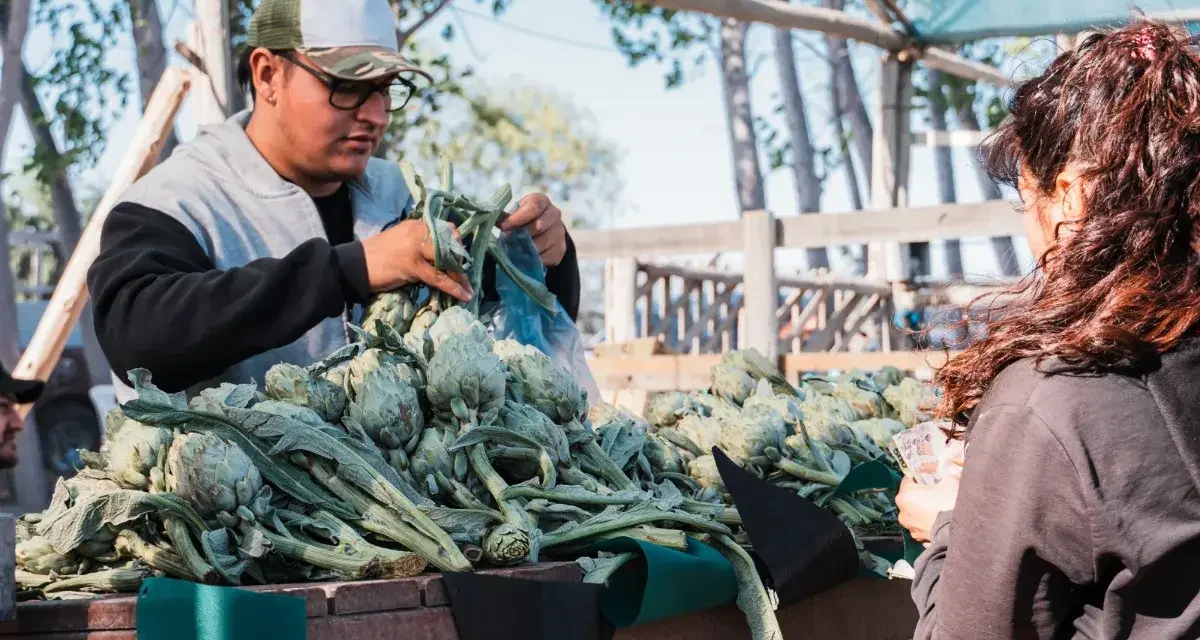 Médano de Oro se prepara para una fiesta a puro espárrago, alcaucil y un risotto gigante