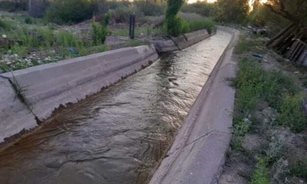 Cayó a un canal en Angaco y fue arrastrado 1,5 kilómetros: un policía lo siguió por la orilla y logró rescatarlo