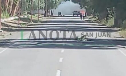 VIDEO: El  Zonda volvió a encender la alerta por incendios en San Martín